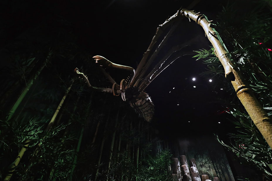 ��� ��������� � ����� �� ����� ����